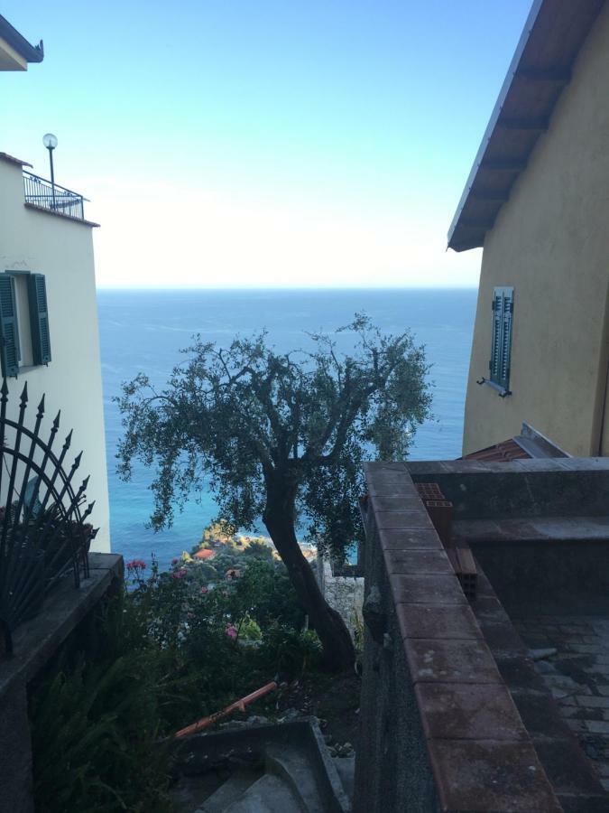 House In Grimaldi. Spectacular View Over The French Riviera! 그리말디 외부 사진